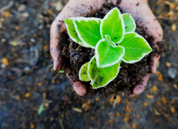 Faça parte da transição para a Sustentabilidade